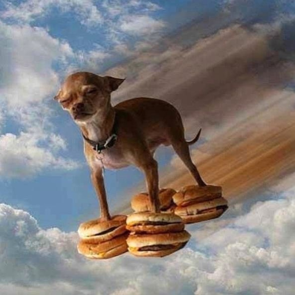 ♥️♥️RESERVED♥️♥️